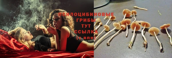 не бодяженный Балахна