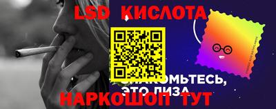 ПСИЛОЦИБИНОВЫЕ ГРИБЫ Бийск