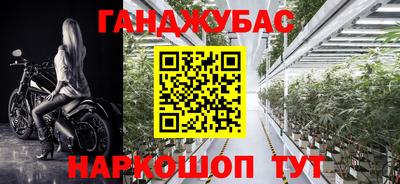 ПСИЛОЦИБИНОВЫЕ ГРИБЫ Бийск