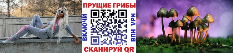 цена   Кушва  Псилоцибиновые грибы GOLDEN TEACHER 