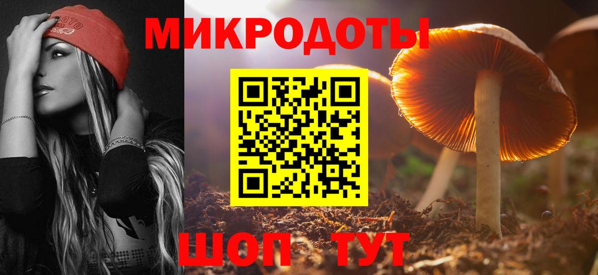 Галлюциногенные грибы прущие грибы  Вход с VPN  Галлюциногенные грибы прущие грибы  Кушва 